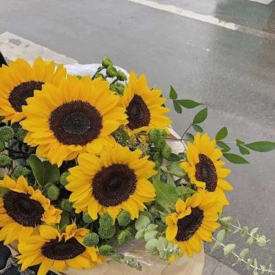 亚博AG娱乐下载手机版