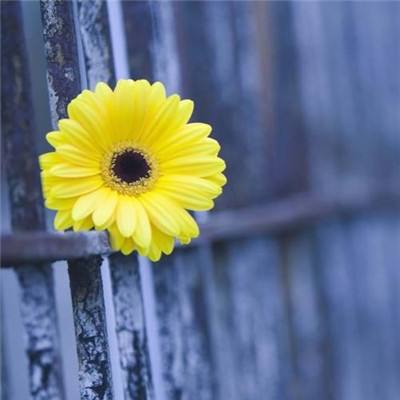 pg电子最新网站入口