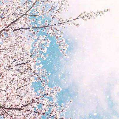 赛博体育下载手机版